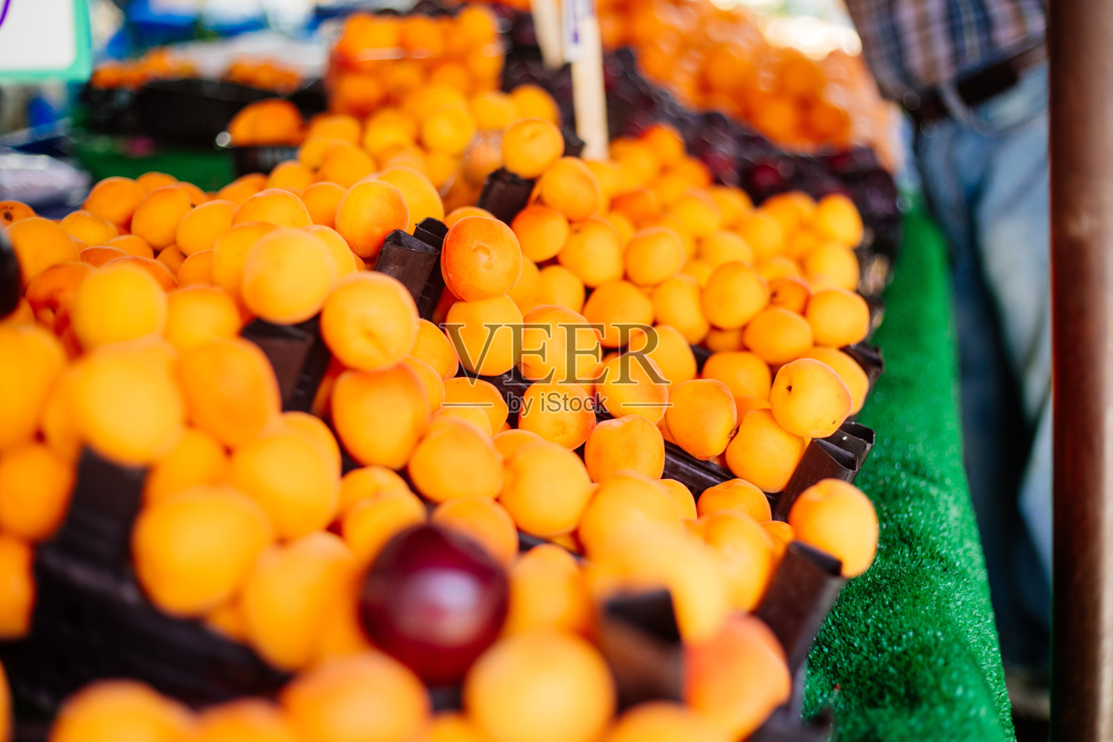 新鲜杏照片摄影图片