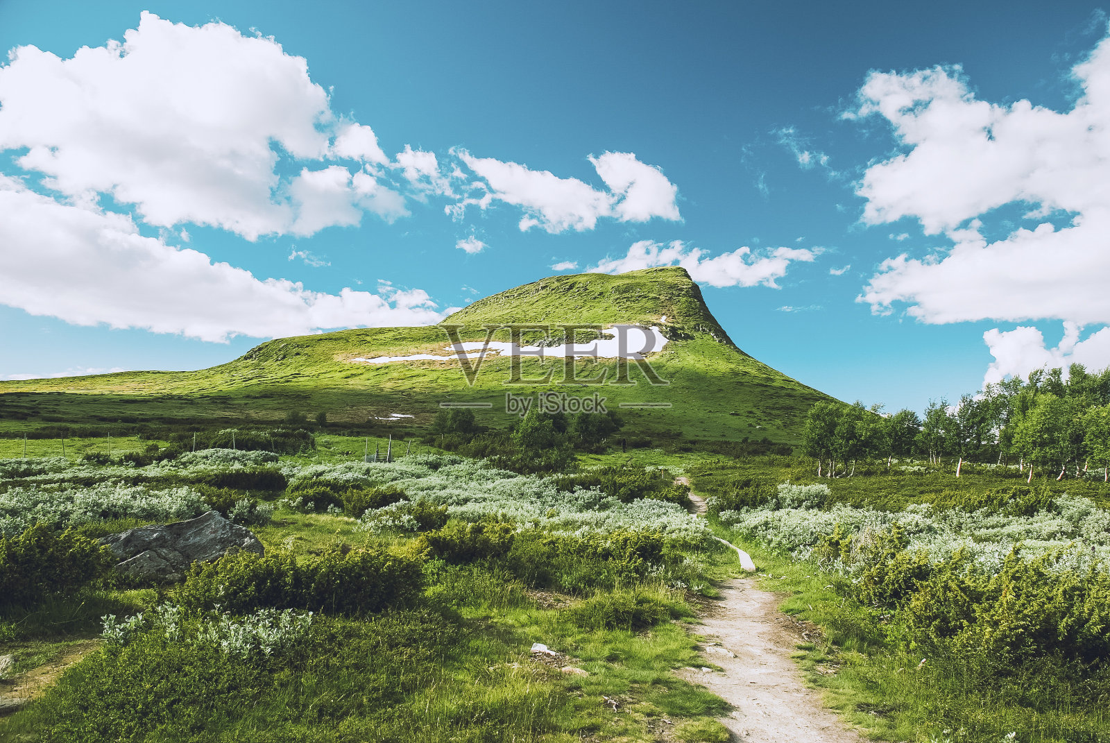 夏天的瑞典大自然照片摄影图片