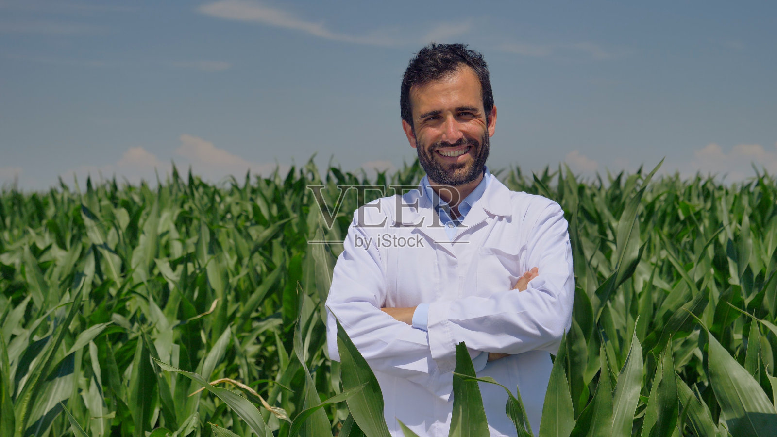 这位农民的肖像在镜头里放松下来，看着并检查了葡萄田，这是绿色植物的背景照片摄影图片