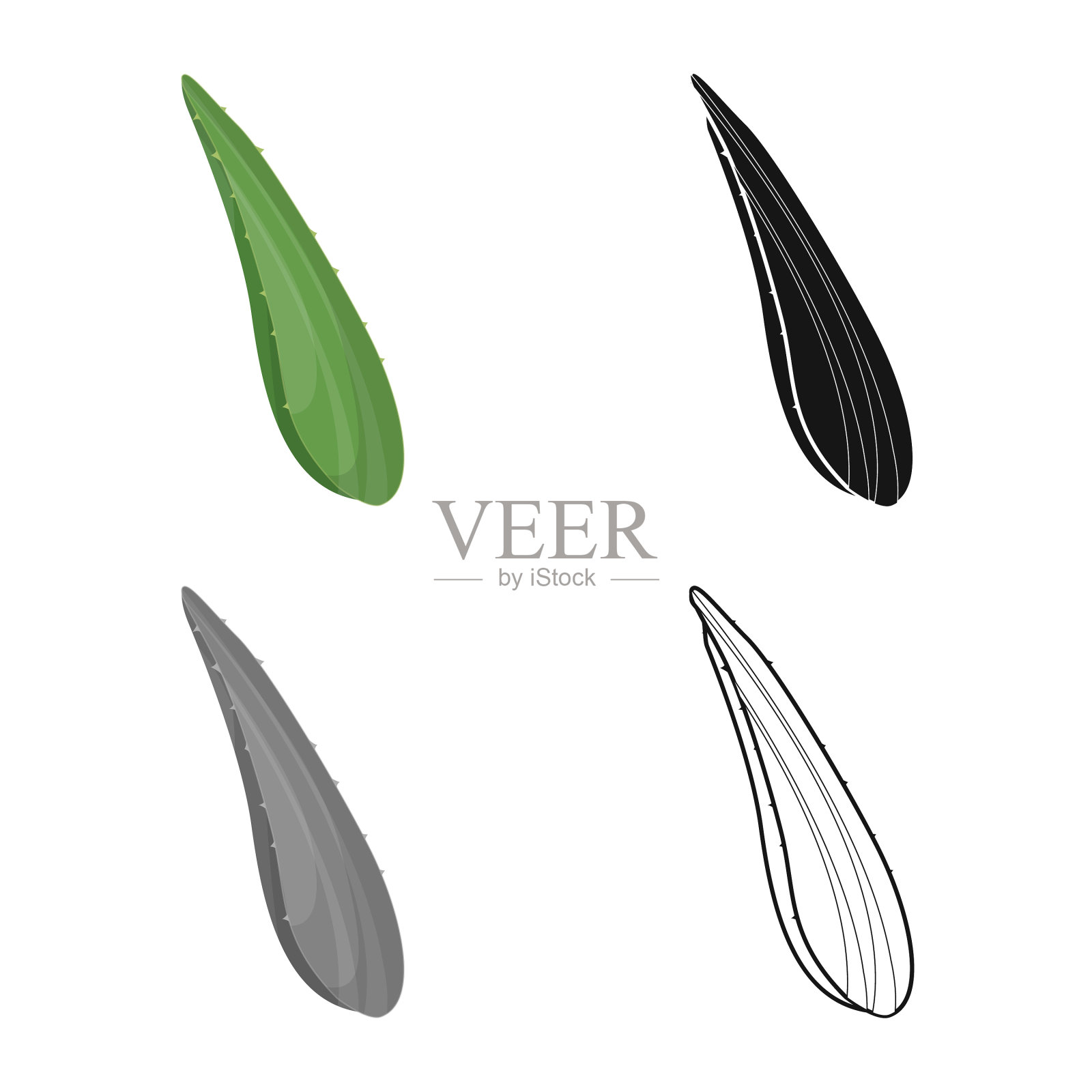 叶子和芦荟的象征插画图片素材