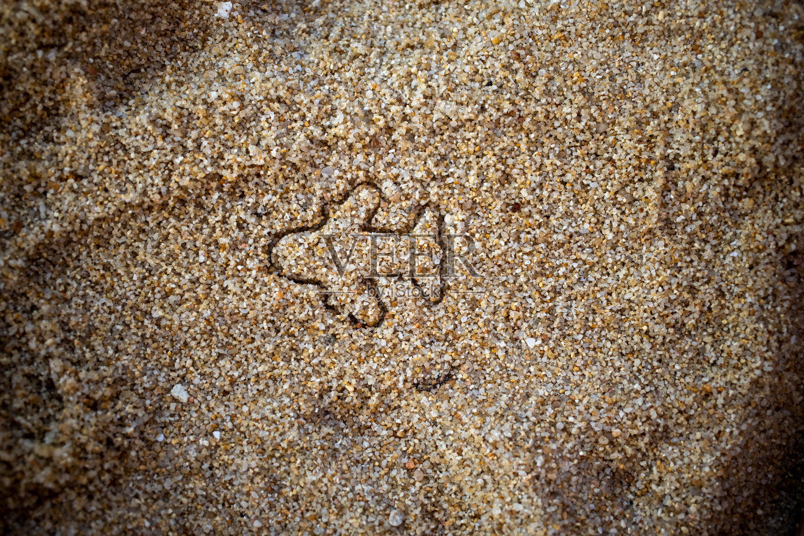 开放国家间航班的概念，结束开放国家间航班的概念，结束对大流行世界星球的隔离。假期旅游。沙滩上的飞机小雕像。俯视图照片摄影图片