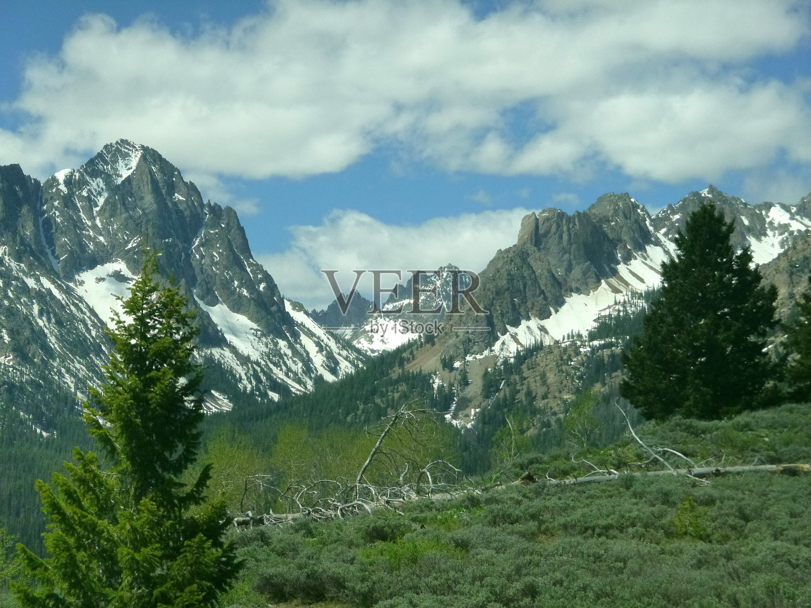 马歇尔湖地区。照片摄影图片