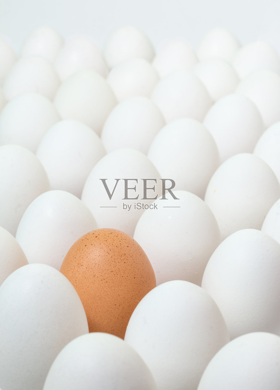 在一堆白蛋中，有一个棕色的蛋。不同的概念。照片摄影图片