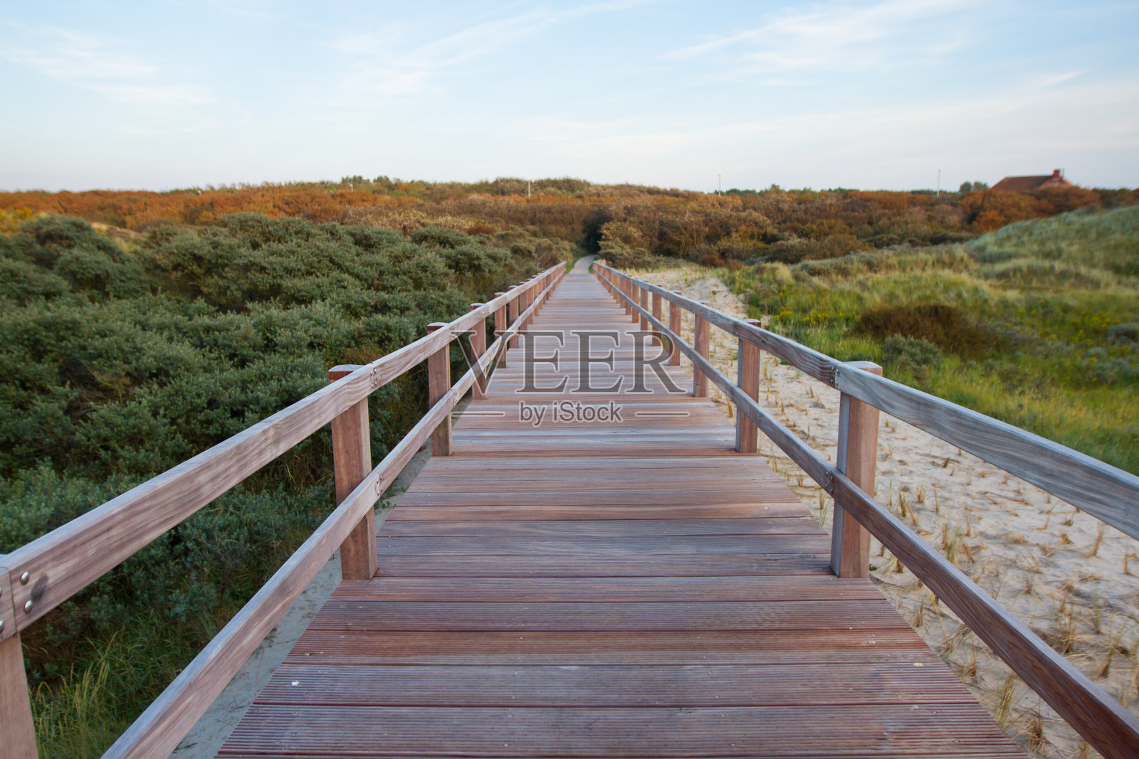 比利时海滩上的木桥照片摄影图片