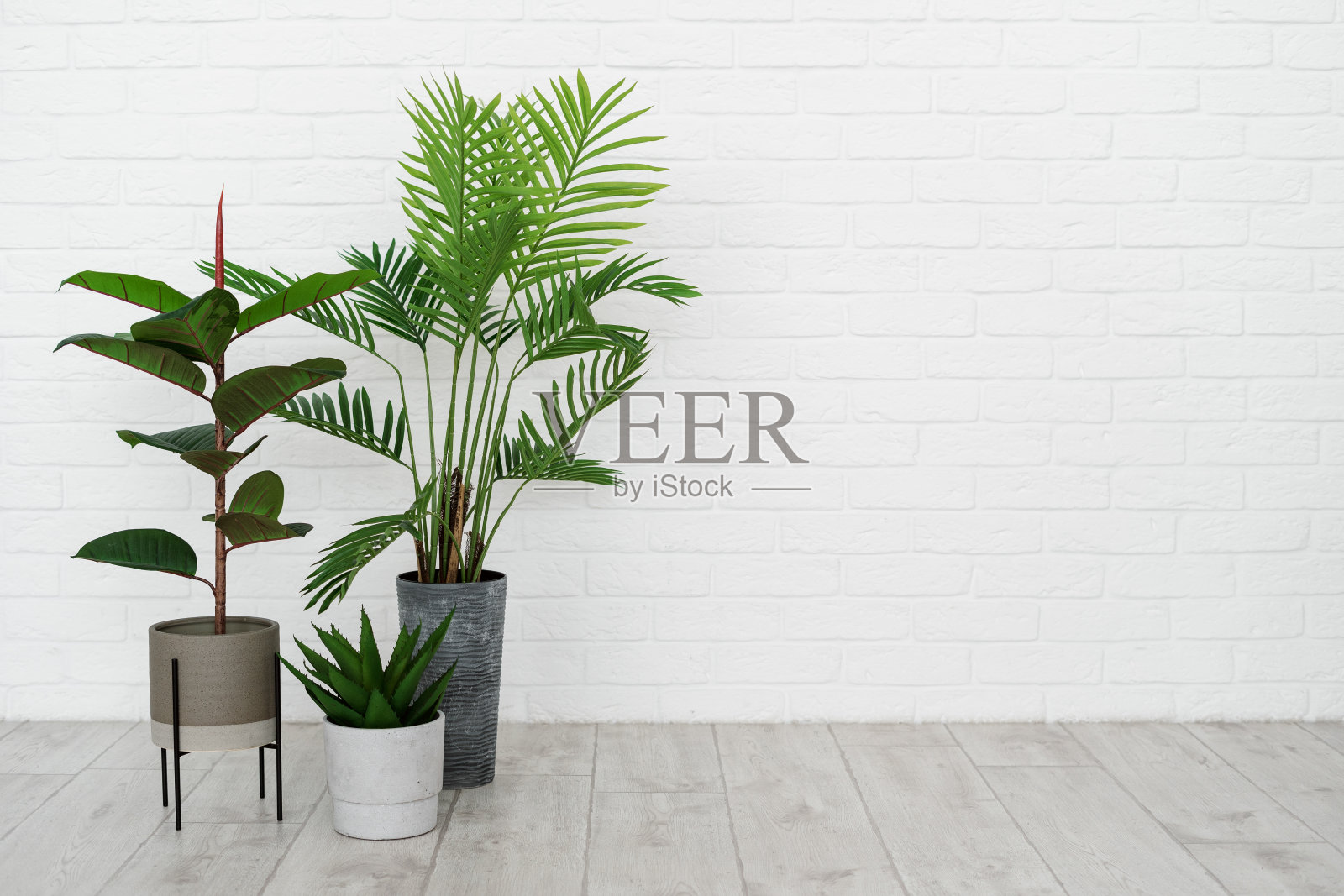 现代的室内空间照片摄影图片