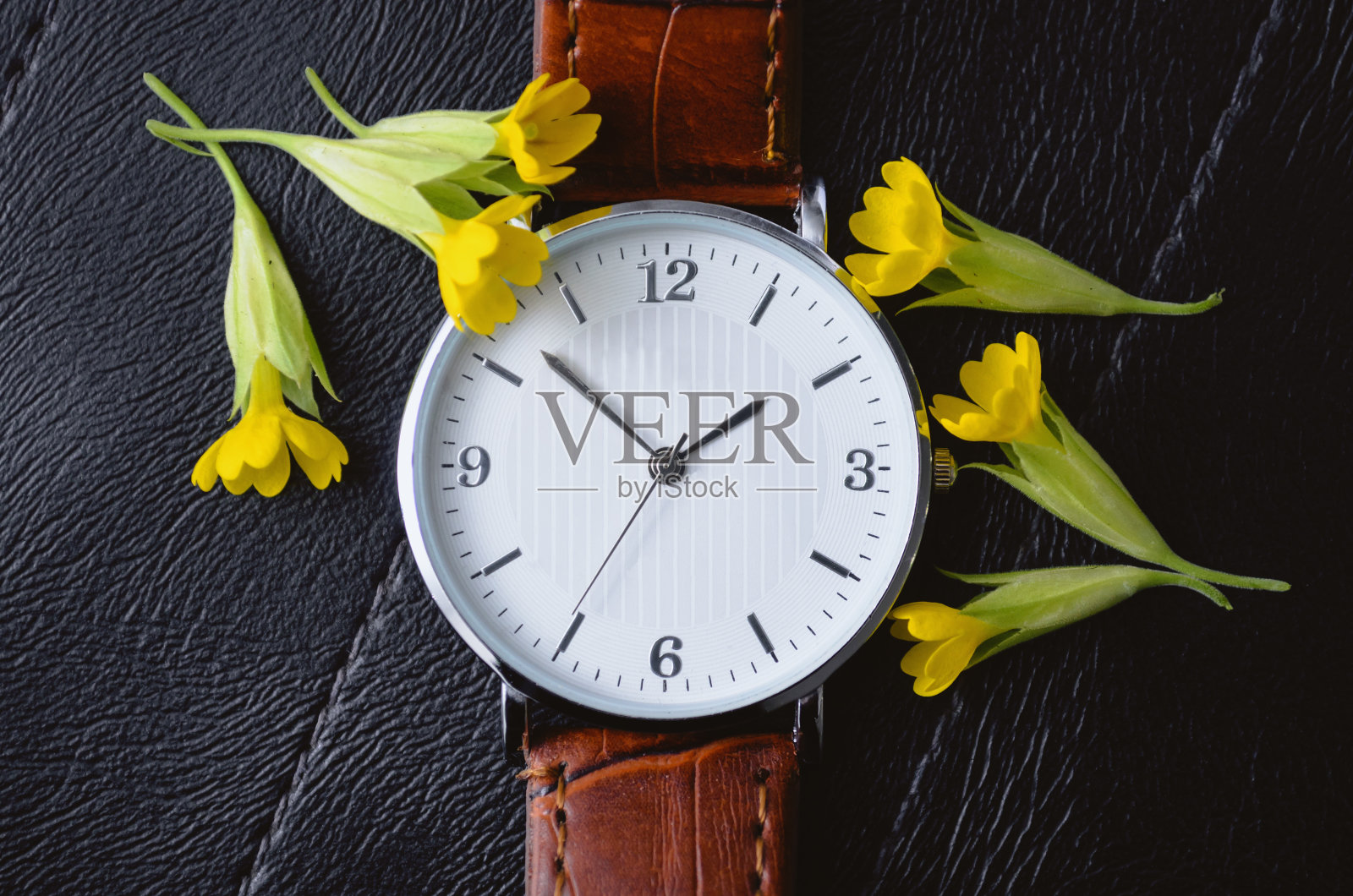 以优雅的方式观看。股票的照片。从上往下看照片摄影图片