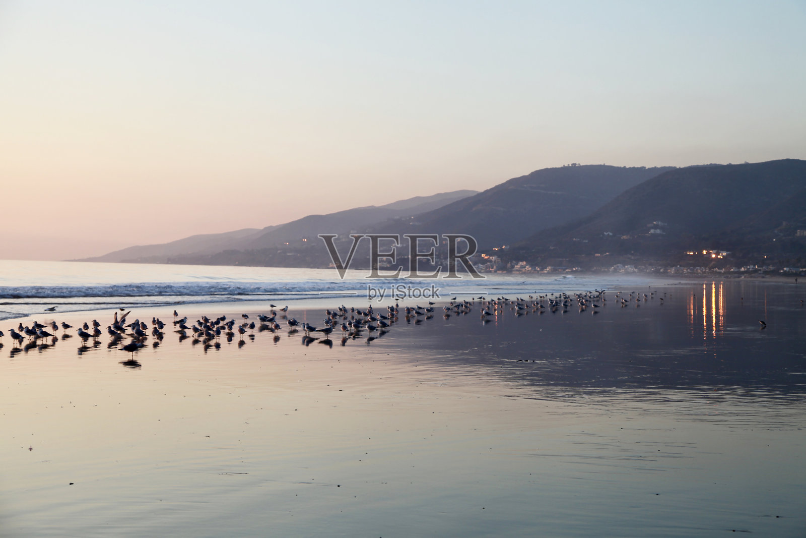 鸟儿飞过加州马里布祖玛海滩照片摄影图片