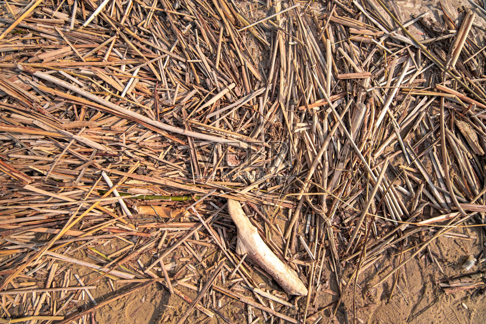 自然纹理背景。摘要生态壁纸。木棍。照片摄影图片