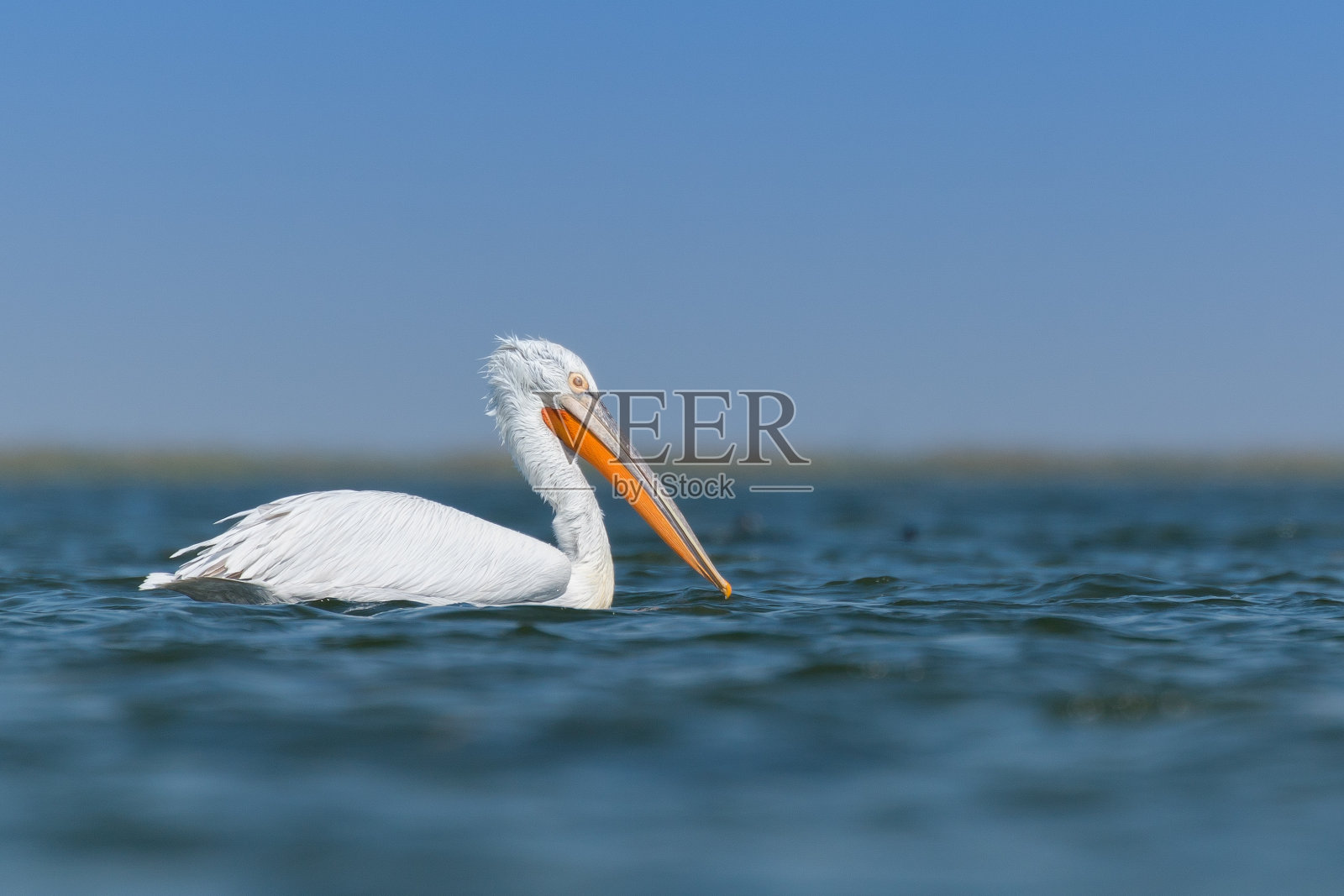 蓝色系的颜色。照片摄影图片