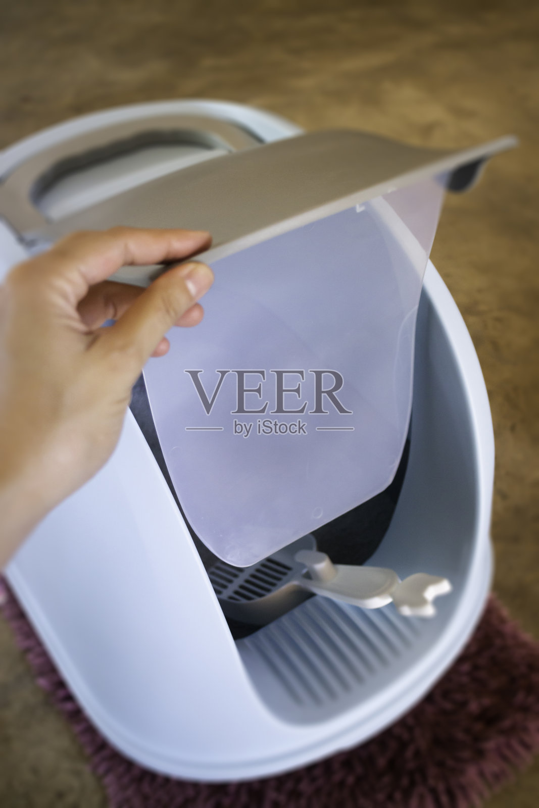 清洁猫砂盒的地方照片摄影图片