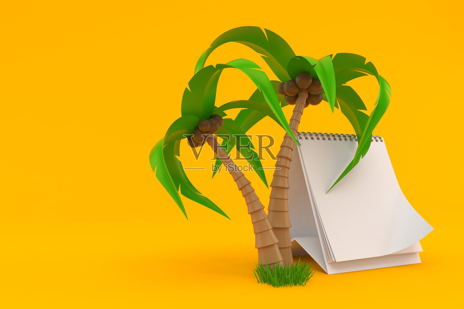 空白日历的棕榈树照片摄影图片