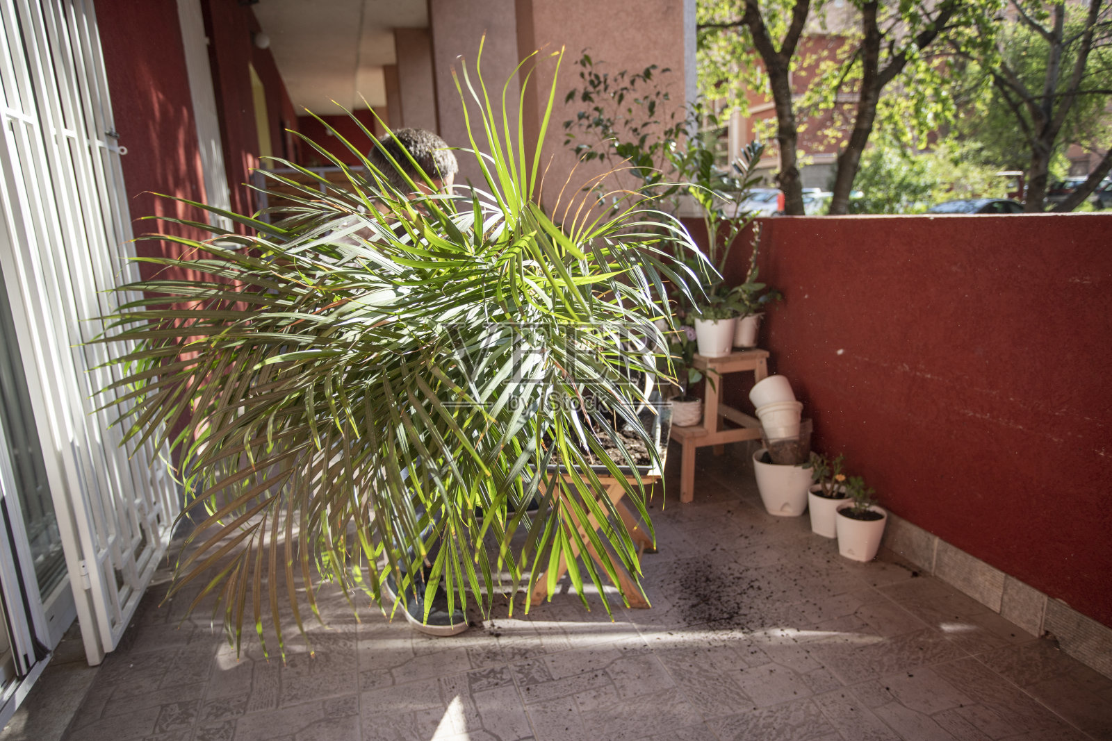 春天的变化照片摄影图片