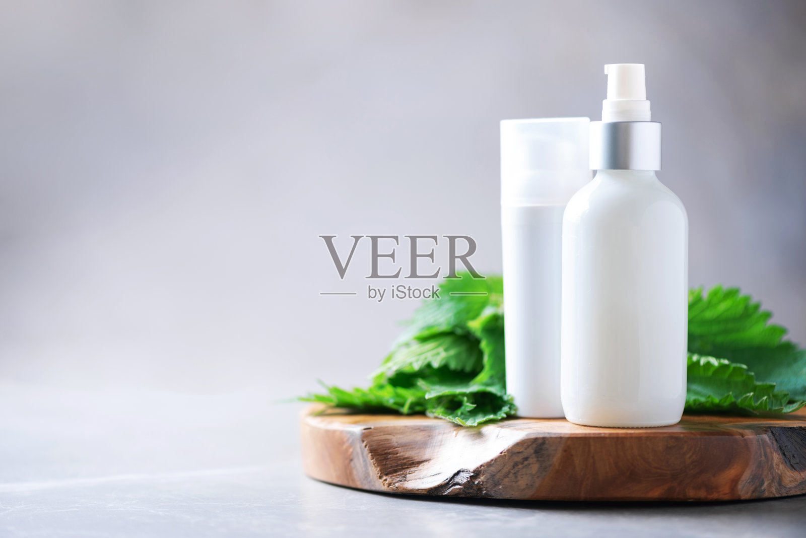 天然水疗，草药化妆品。荨麻洗剂，霜，洗发水或肥皂在白色瓶子和新鲜荨麻叶在灰色背景。草药保健美容，皮肤护理和头发治疗。照片摄影图片