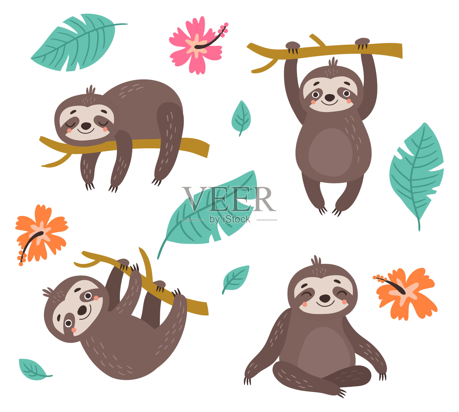 树懒。妈妈和宝宝。矢量图插画图片素材