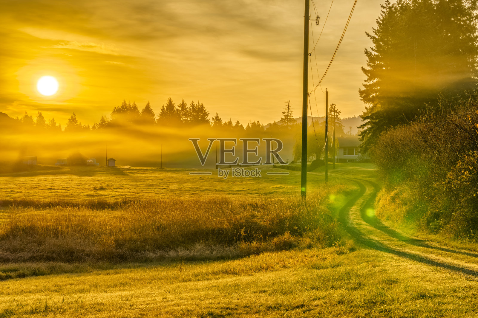 不列颠哥伦比亚省温哥华岛照片摄影图片