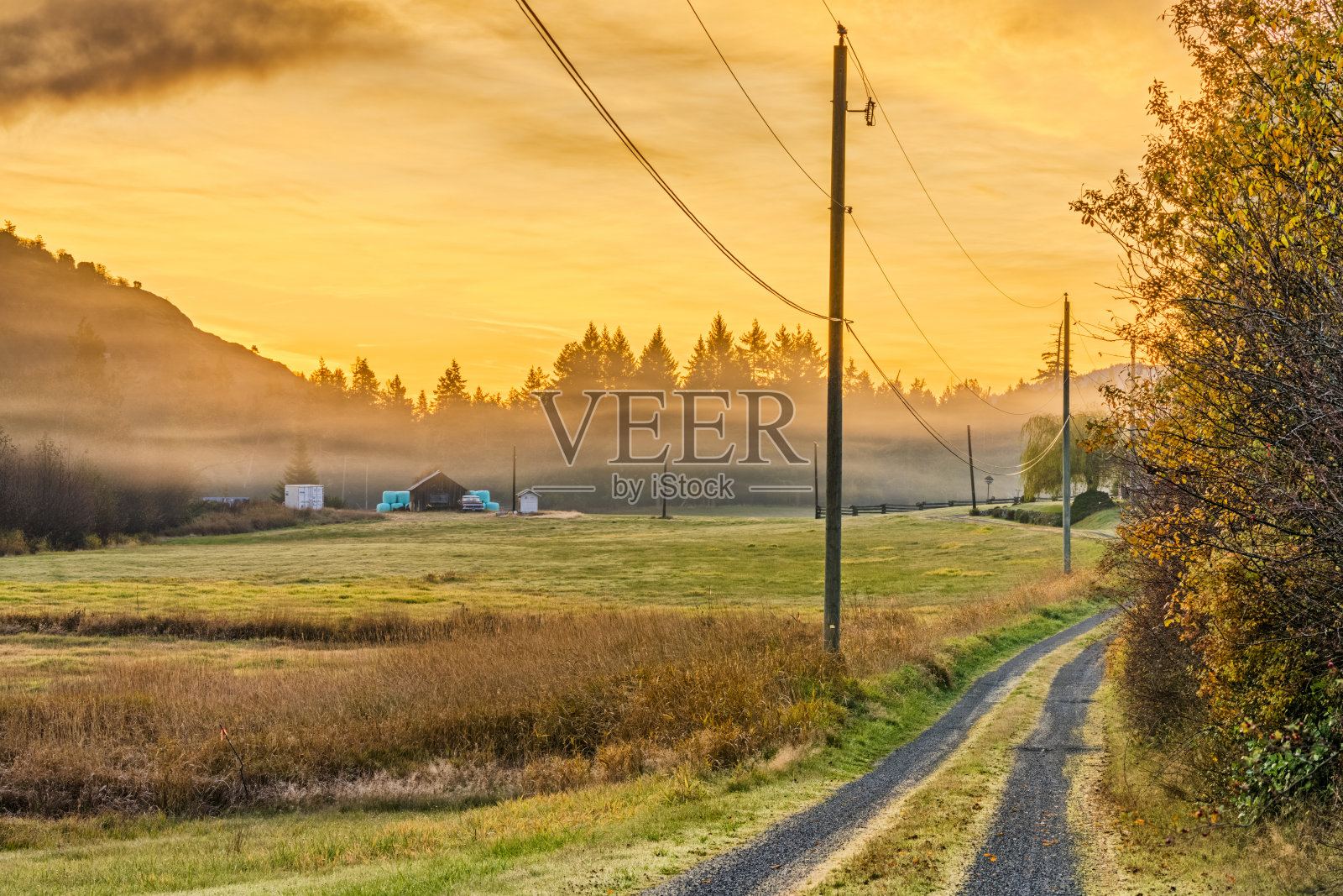 不列颠哥伦比亚省温哥华岛照片摄影图片