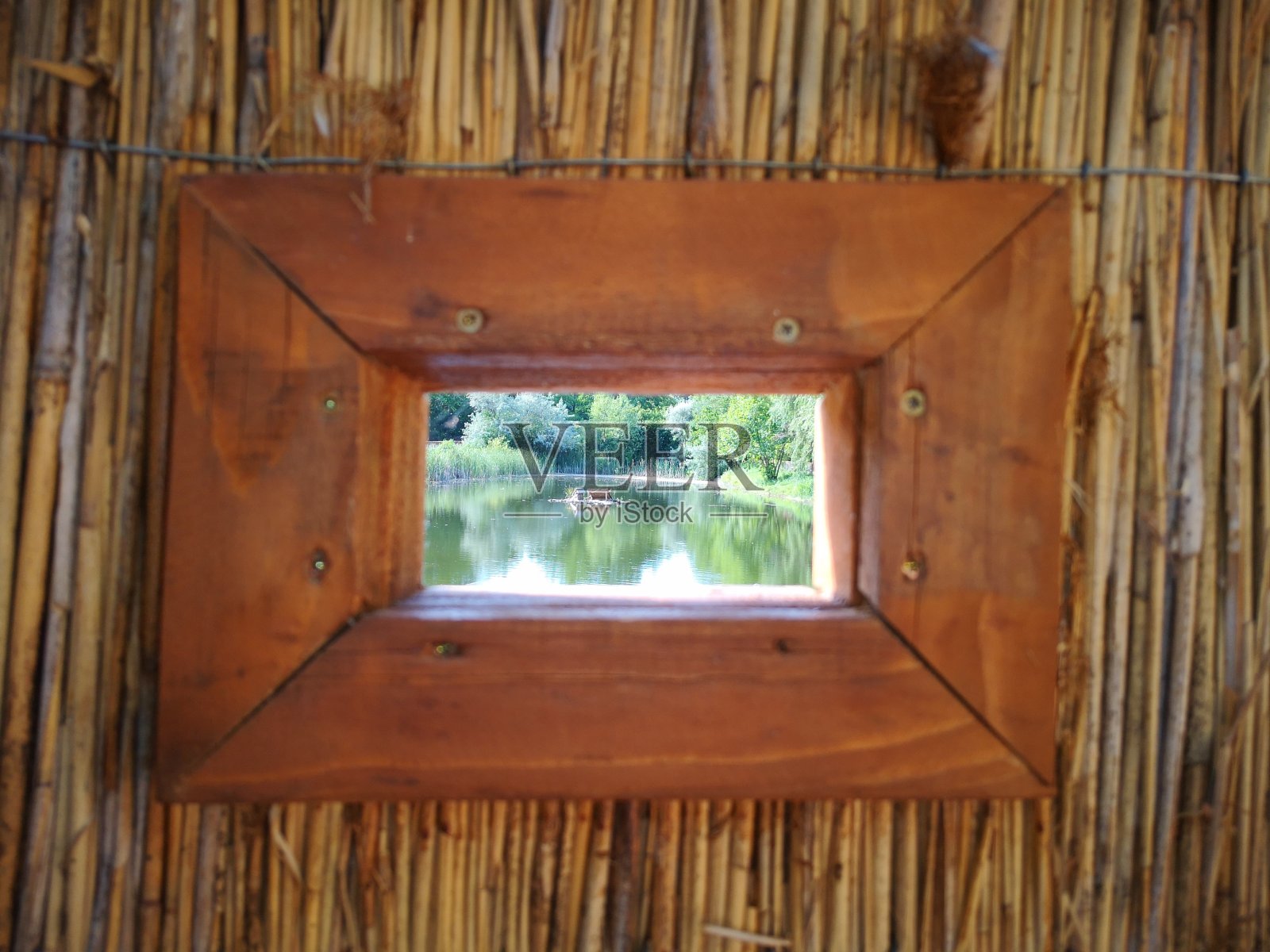 鸟类观察箱的窗口照片摄影图片