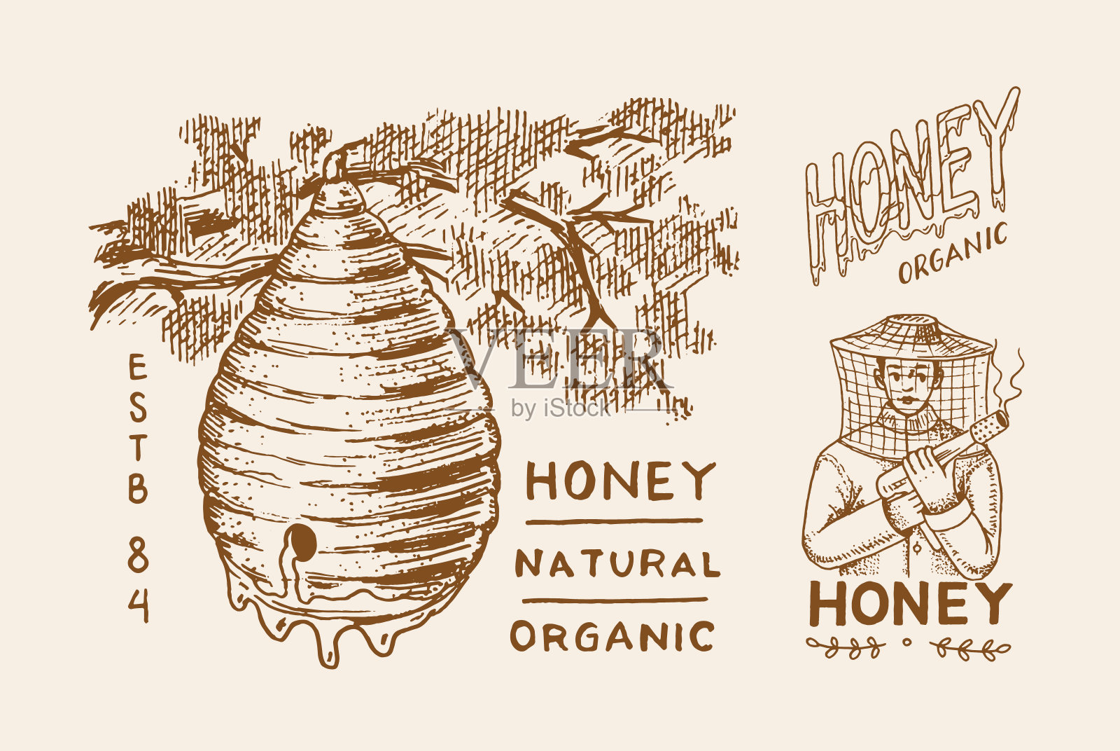 蜂蜜和蜜蜂。养蜂人和蜂巢。古商标的排版，商店或招牌。徽章的t恤。手绘雕刻素描。矢量图插画图片素材