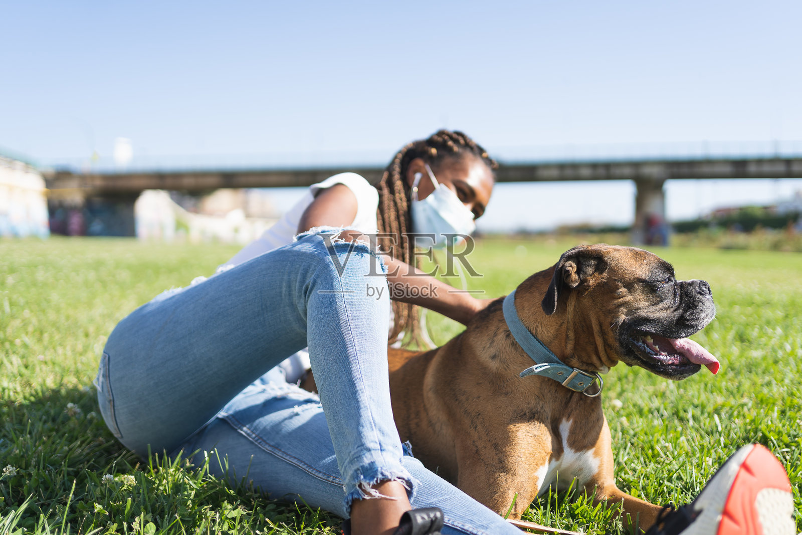 一个戴着面具的女人躺在草地上抚摸着一只拳击犬照片摄影图片