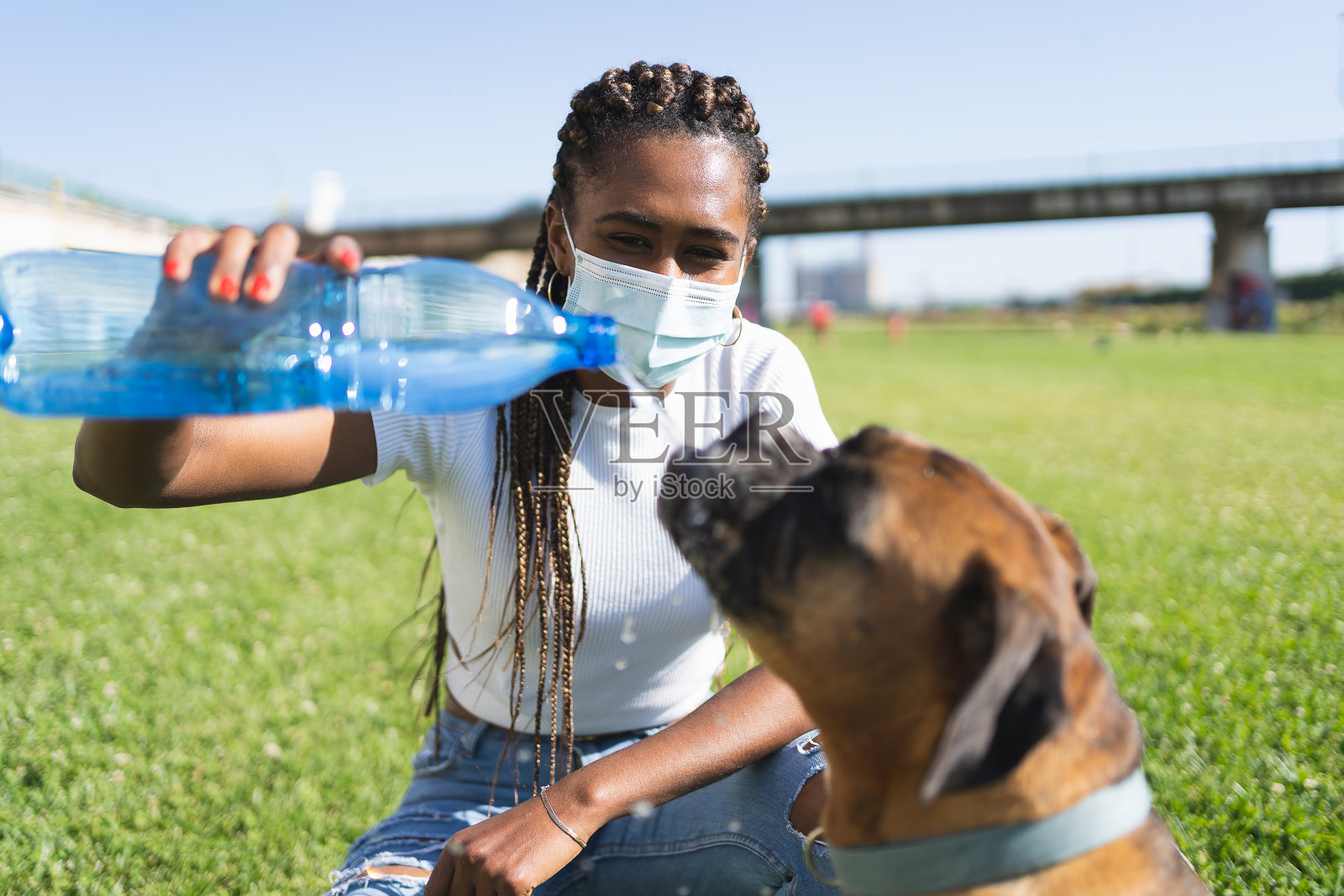 一名脸上带着面罩的非洲妇女把一个塑料瓶给一只拳击犬照片摄影图片