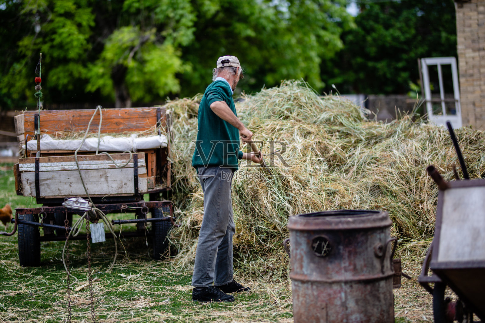 高级农民工作与干草叉股票照片照片摄影图片