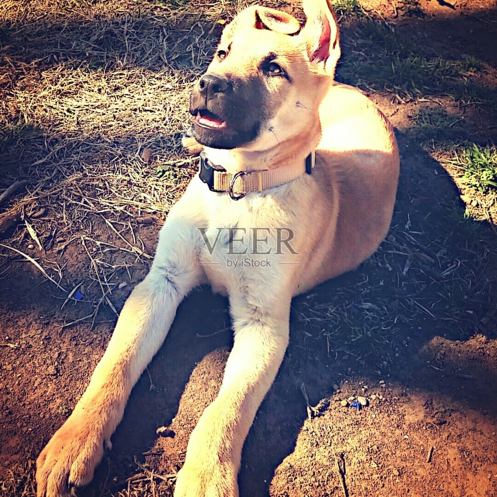 德国坑照片摄影图片