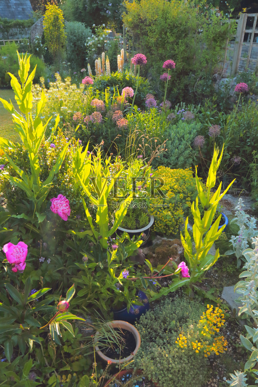 英国别墅花园照片摄影图片