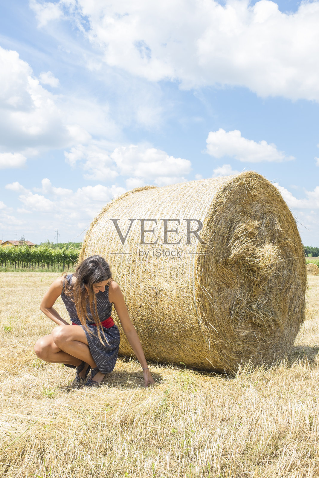 夏日麦田里的美女照片摄影图片