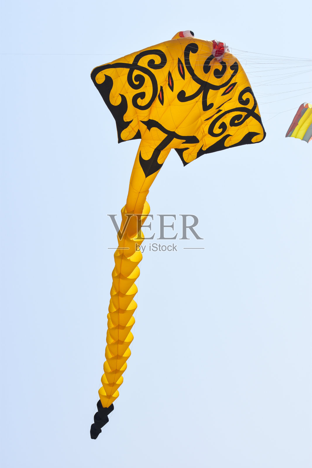 沙滩上的风筝照片摄影图片