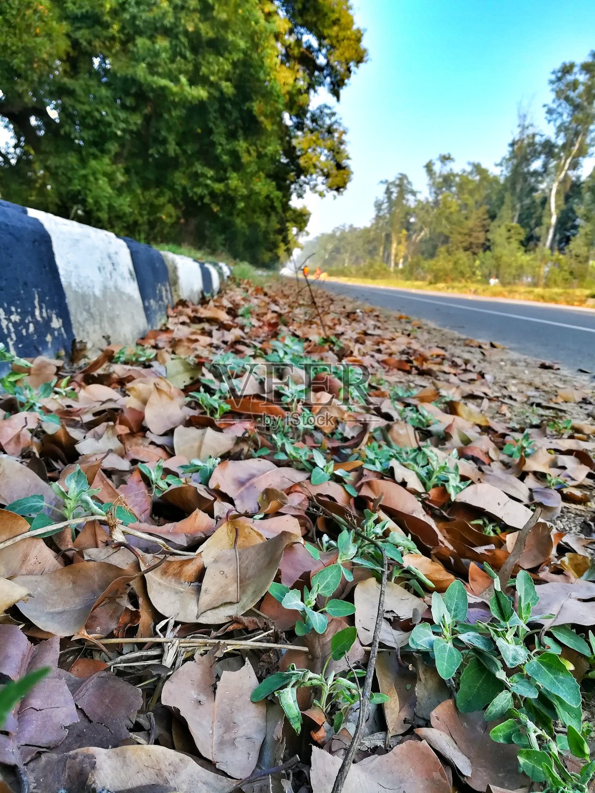 秋天的季节照片摄影图片