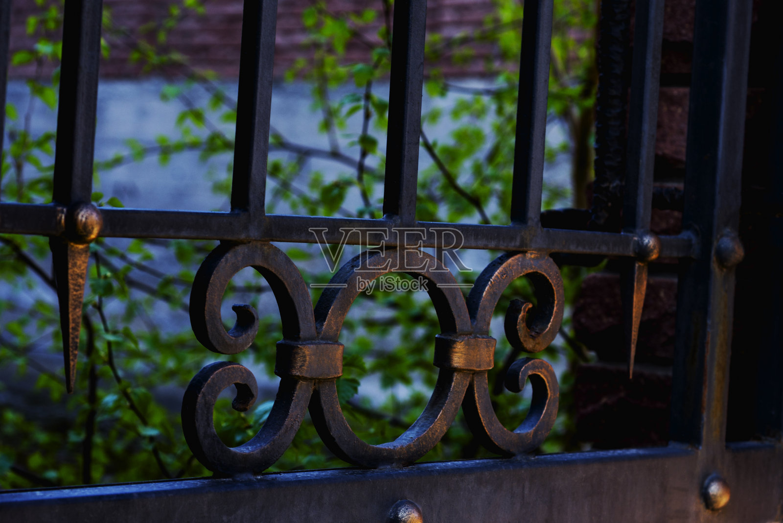 用锻造元素装饰锻造金属门。照片摄影图片