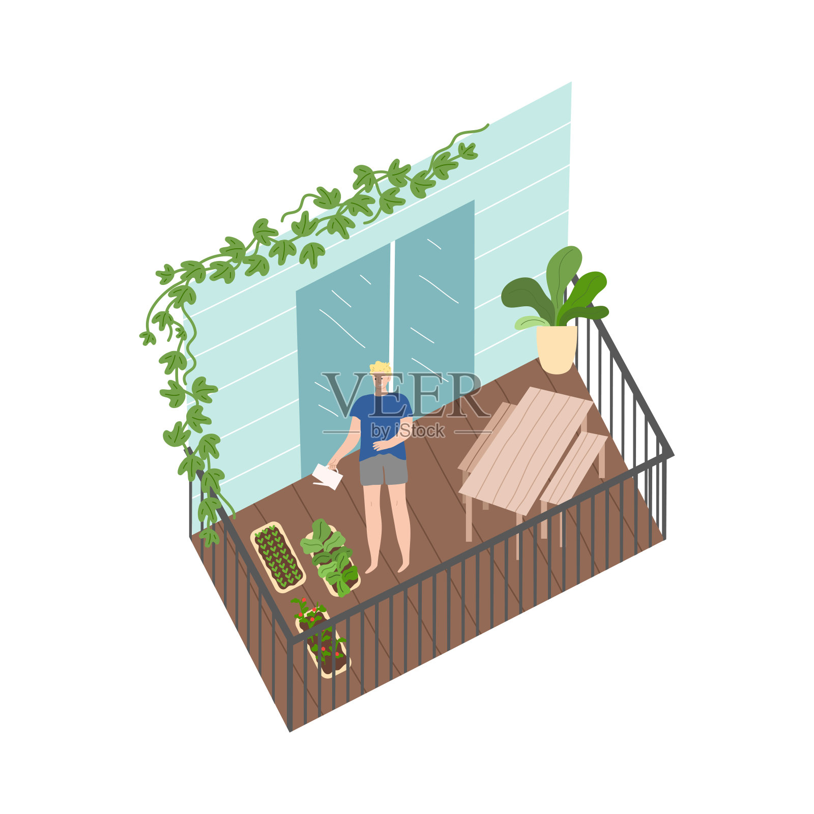 微笑的男人站在阳台上，用喷壶浇绿色植物插画图片素材