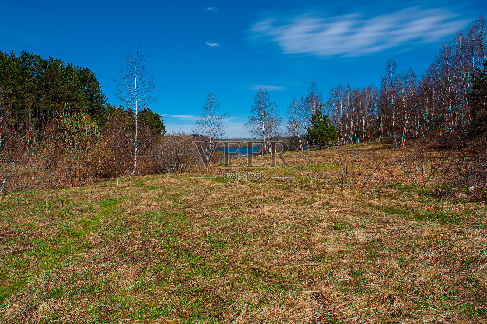 来自塞尔维亚弗拉西纳山的细节照片摄影图片