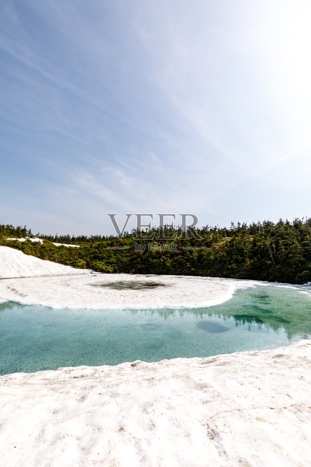 神秘的“八毛满台龙眼”场景照片摄影图片