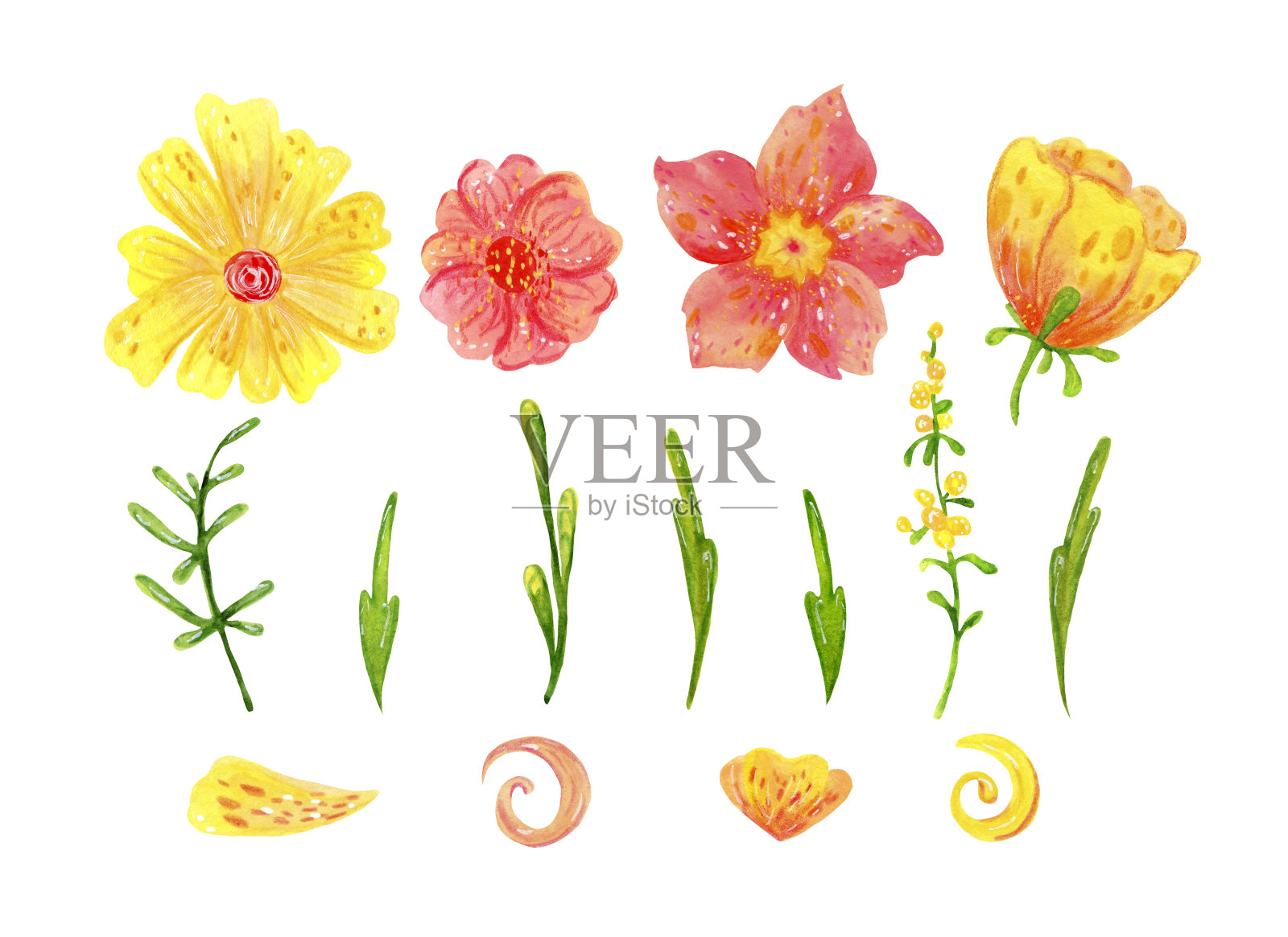 一套抽象的春天花和叶子的节日装饰和设计。插画图片素材