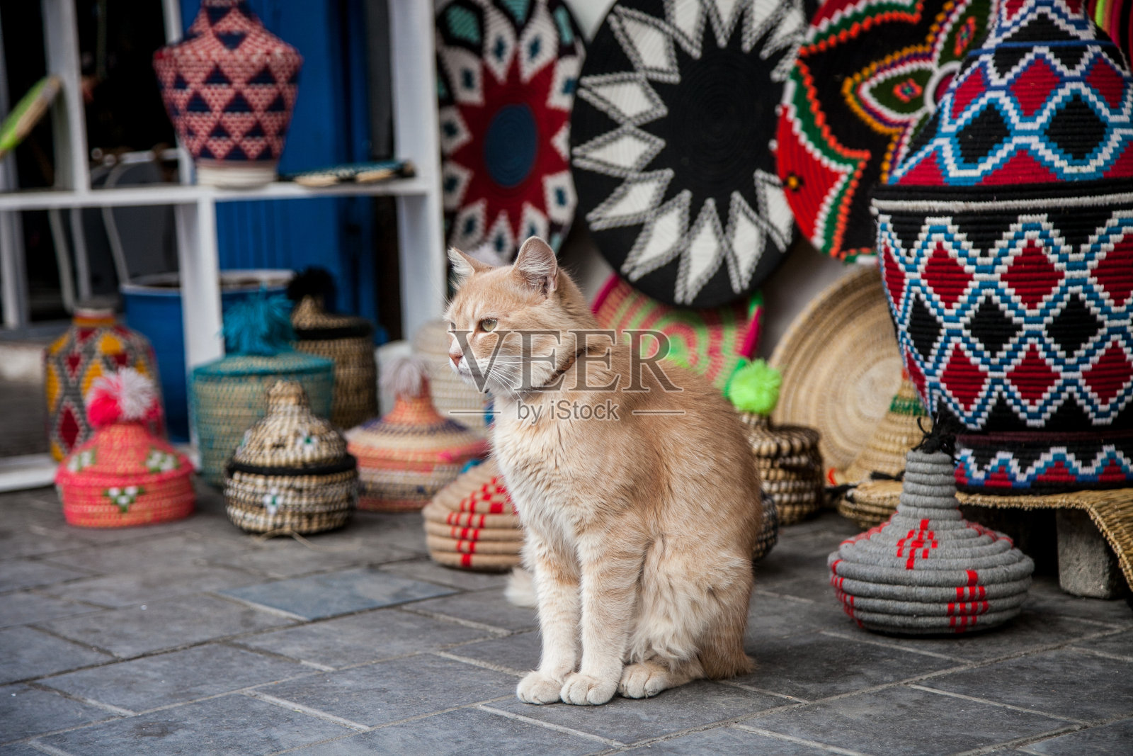 阿拉伯集市上的红猫照片摄影图片