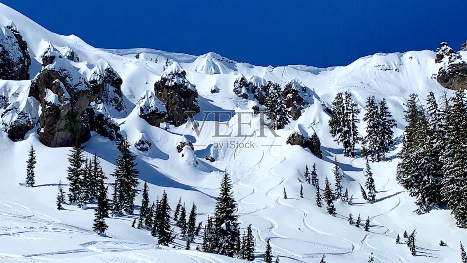 雪覆盖的树木在山上，加利福尼亚照片摄影图片