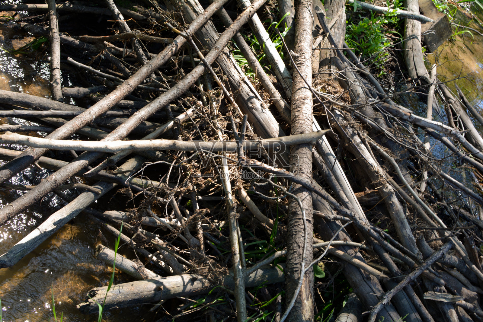 河狸坝的详细资料照片摄影图片