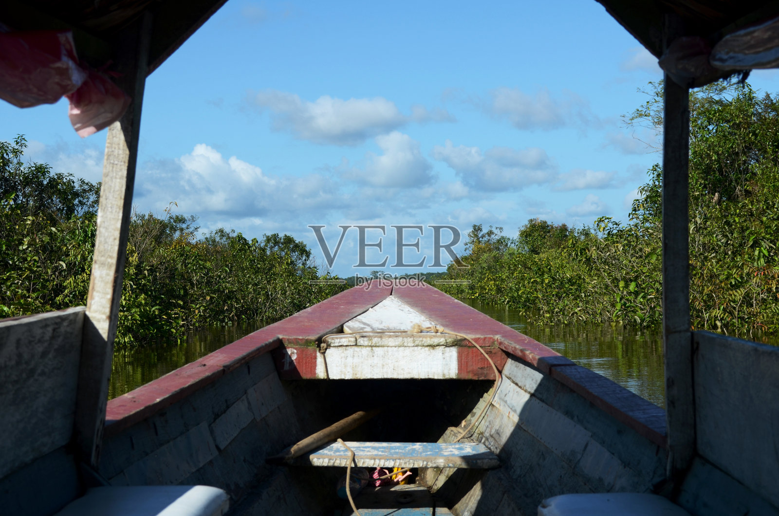来自亚马逊河的美丽风景照片摄影图片