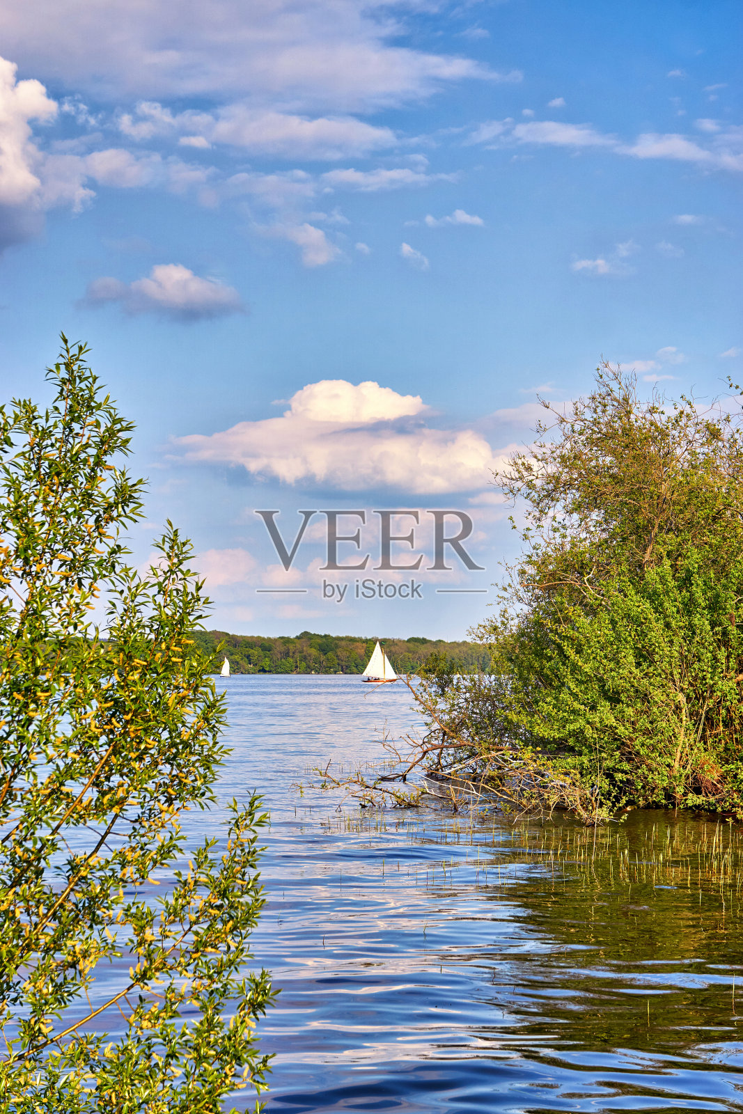 在施韦林湖的树木之间的木制帆船与云。照片摄影图片