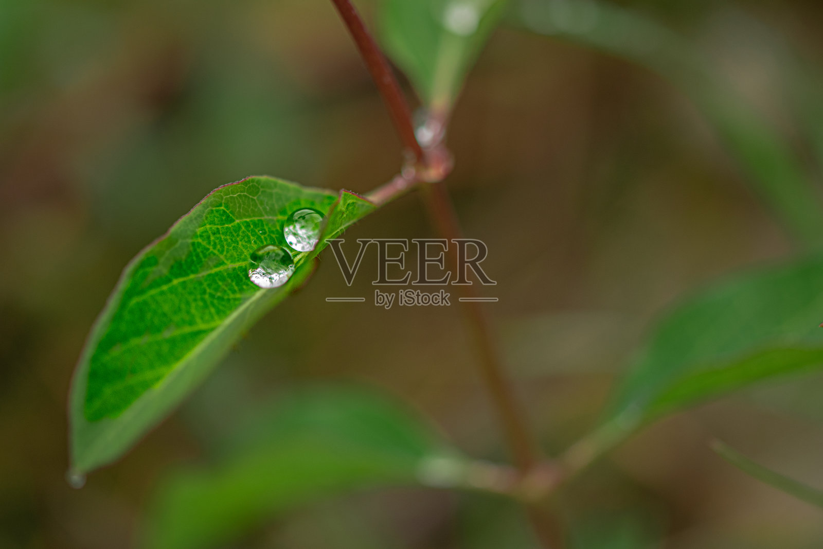 新的生活。照片摄影图片