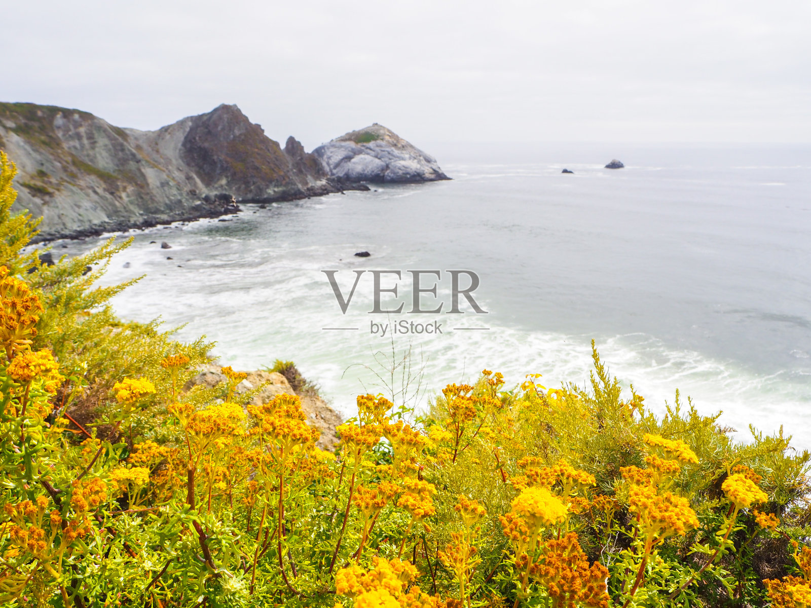 太平洋海岸公路，1号公路，大苏尔，加利福尼亚州，美国照片摄影图片