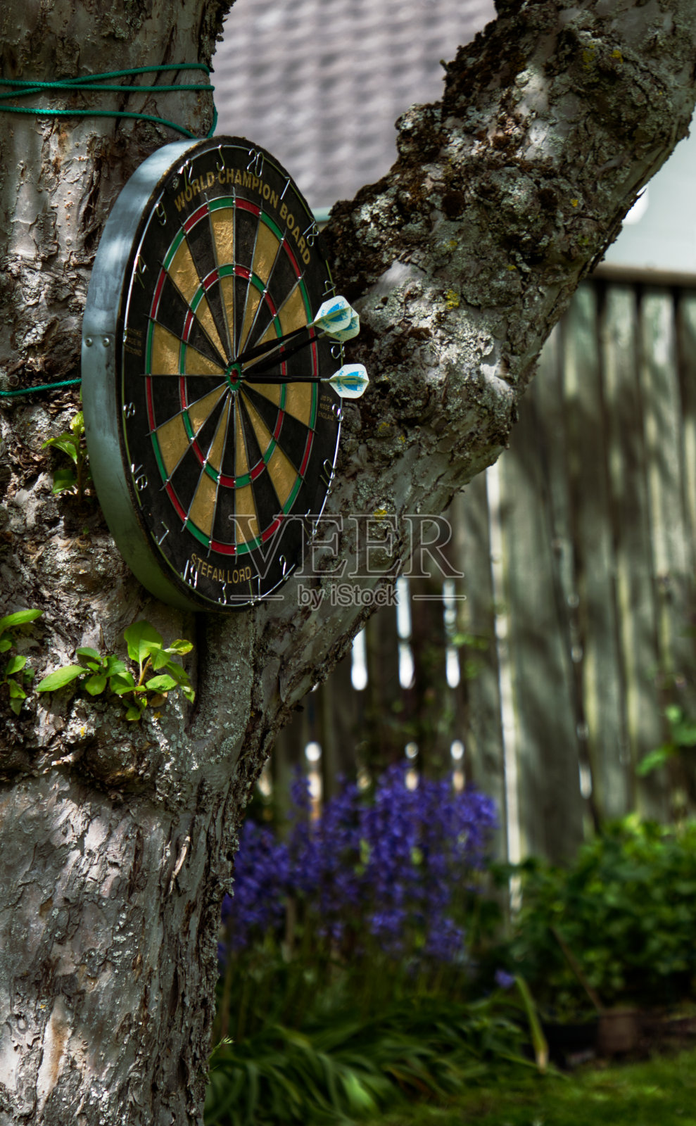 圆靶照片摄影图片