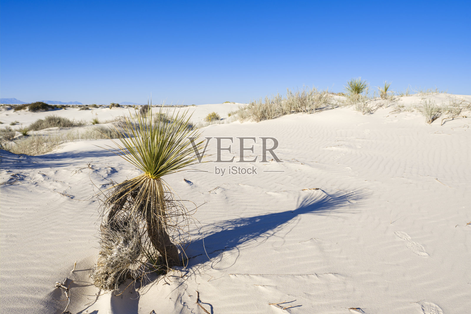 白沙石膏沙丘照片摄影图片