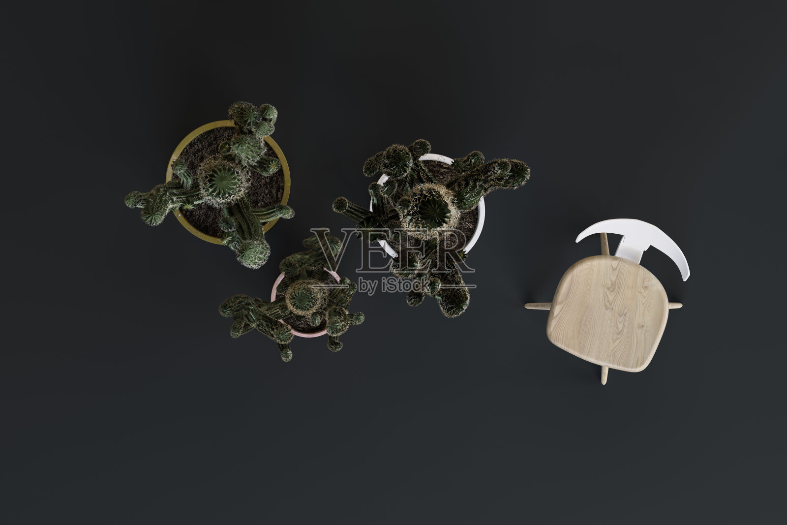 工作室里的植物和家居装饰以黑色为背景照片摄影图片