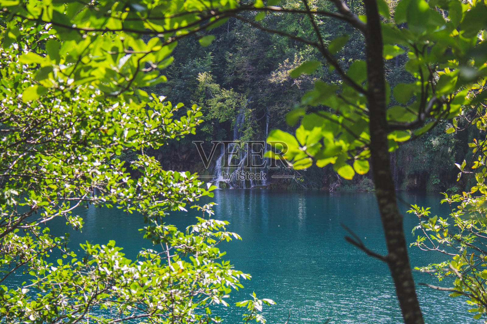 克罗地亚Plitvice湖国家公园照片摄影图片