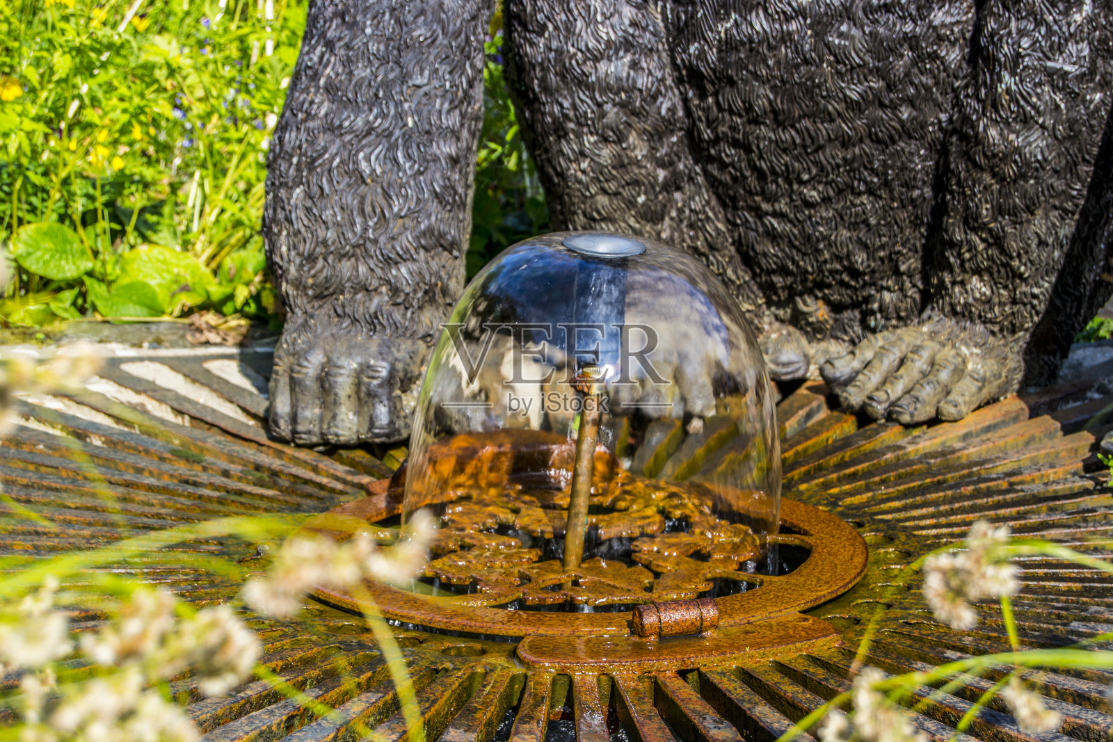 夏天水中的鹅卵石和石头照片摄影图片
