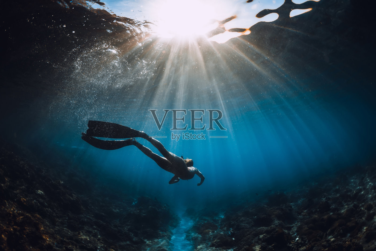 自由潜水的女人有鳍滑行在珊瑚底部和惊人的阳光。在海洋水下自由潜水照片摄影图片