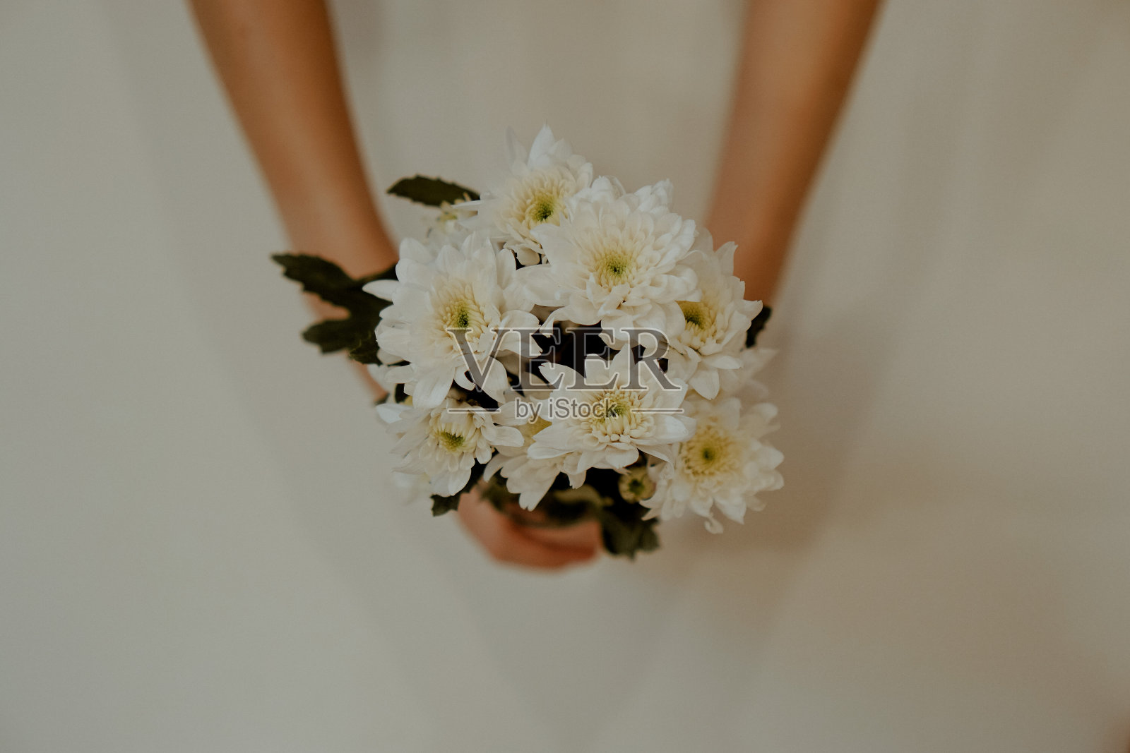 女人手捧鲜花越过白色的桌子照片摄影图片