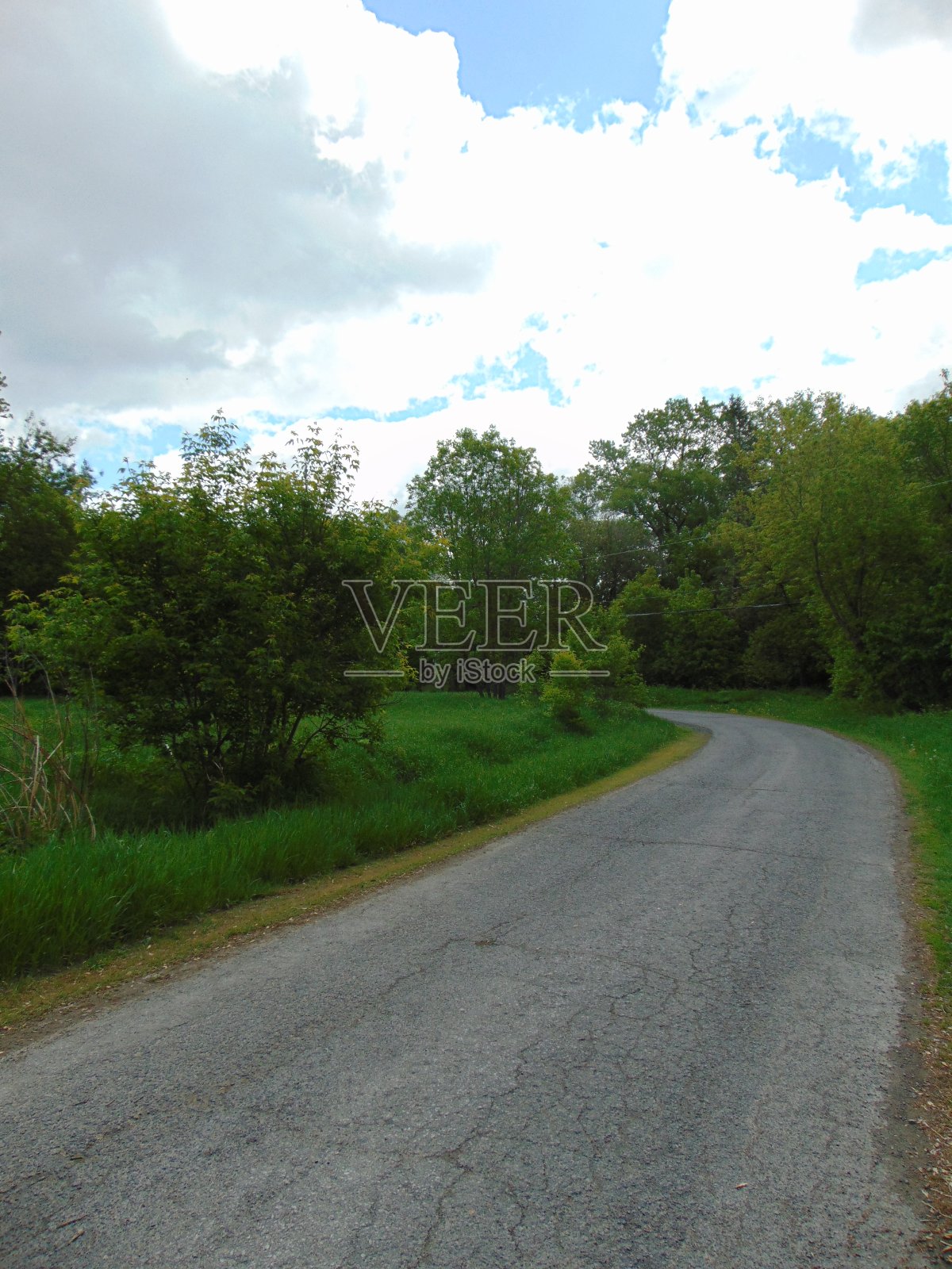 孤立和弯曲的乡村道路与树木垂直照片摄影图片